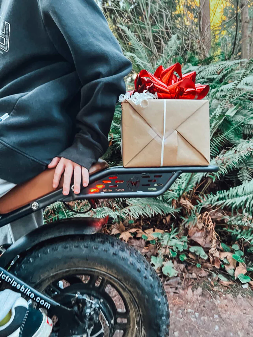 Rear cargo rack carrying a wrapped gift